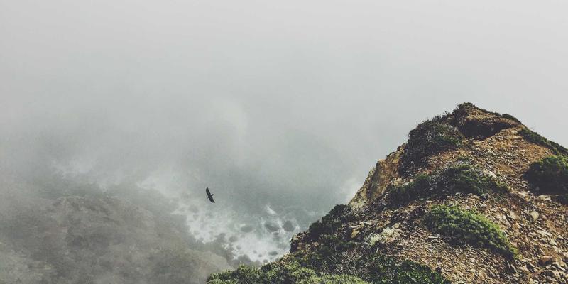 廊坊医疗紧急救援新标杆：博爱120如何为大型展会定制专业医疗应急保障方案