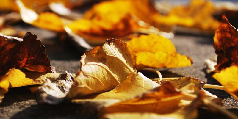 廊坊博爱1206：构筑医疗健康与紧急救援的生命守护线