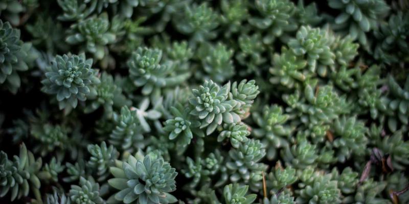 廊坊博爱12072：守护城市生命线的专业急救力量