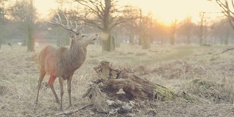 廊坊博爱120：守护城市健康的生命热线与医疗中坚