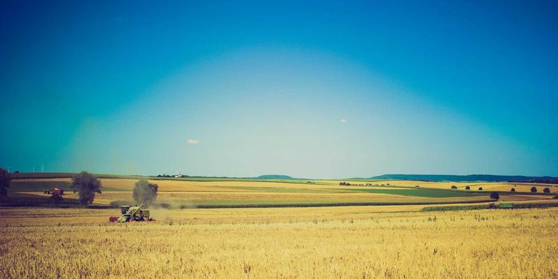 廊坊博爱120对比：如何选择专业的健康咨询与紧急救援服务？