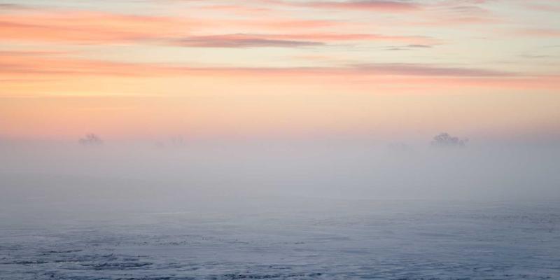 廊坊博爱120怎么用？这份全方位使用指南，守护您的健康