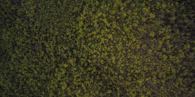 廊坊博爱120跨区域转运服务详解：如何安全完成京津翼地区长途医疗护送