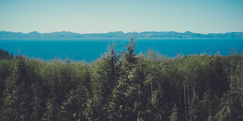 廊坊地区夜间突发急症怎么办？详解博爱120夜间出诊流程与关键注意事项