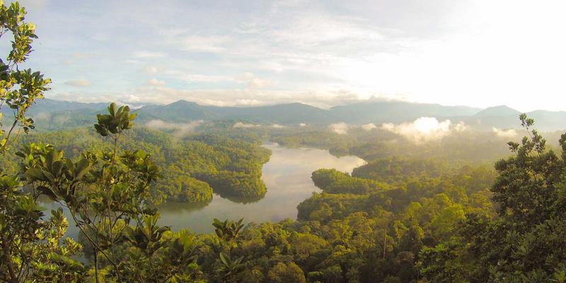 生命接力：深度解析廊坊博爱120新生儿危重症转运全流程，从医院对接到NICU无缝交接