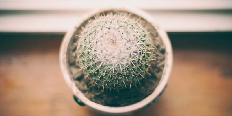 生命通道上的精密协作：解析廊坊博爱120急救团队的黄金配置与协同作战