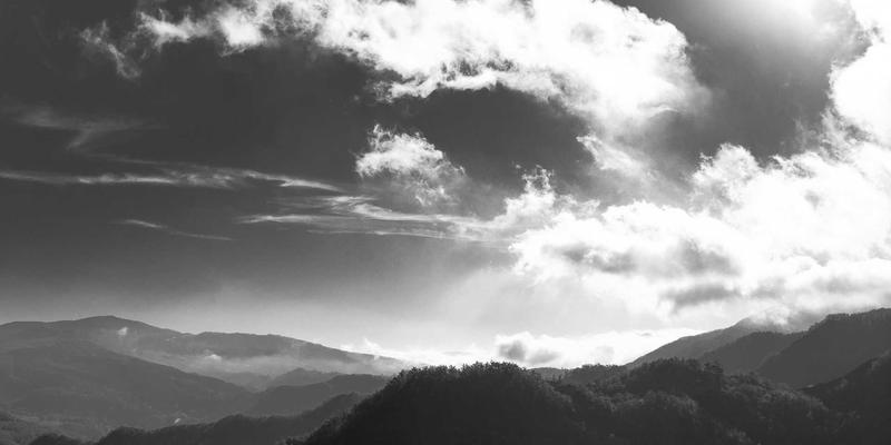 生命通道零时差：揭秘廊坊博爱120院前急救与院内救治的无缝衔接体系